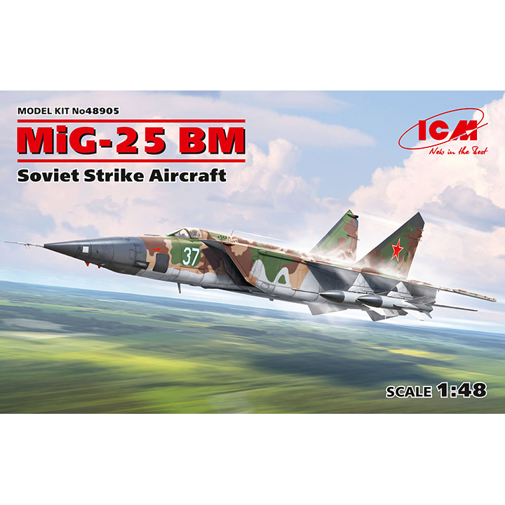 BICM48905 1대48 MiG-25BM 폭스배트