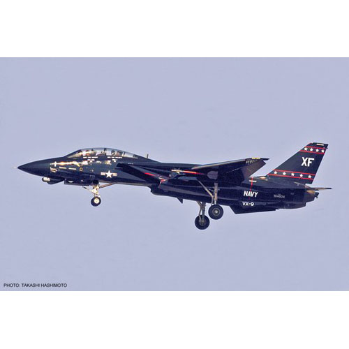 BH09867 1/48 F-14D Tomcat &#039;Black Tomcat&#039;