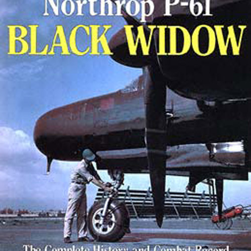 ESSH0738 P-61 Black Widow