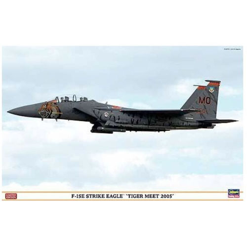 BH07318 1/48 F-15E Strike Eagle