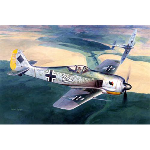 BH09090 1/48 Fockewulf FW109A-3