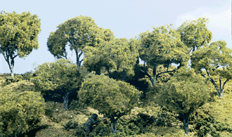 JWTK25 Hardwood Trees - 5 ½&quot;-6 ½&quot; (3/kit) 나무 3그루 포함