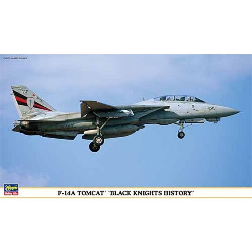 BH00985 1/72 F-14A Tomcat Black Knight History