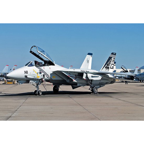 BH00814 1/72 F-14B Tomcat &#039;VF-143 Pukin Dogs&#039;