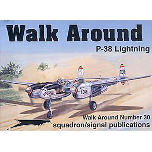 ES5530 P-38 LIGHTNING WALK AROUND