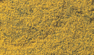 JWF176 Flowering Foliage™ - Yellow (covers 100 sq. in.) 나무잎/꽃-노랑색