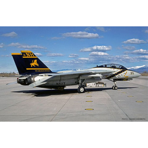 BH09814 1/48 F-14A Tomcat &#039;VF-213 Black Lions&#039;