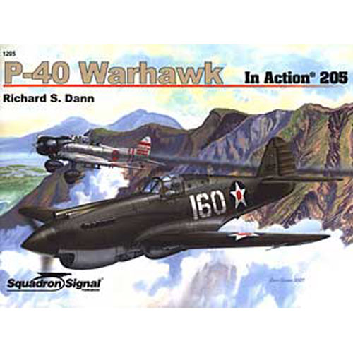 ES1205 P-40 Warhawk in Action