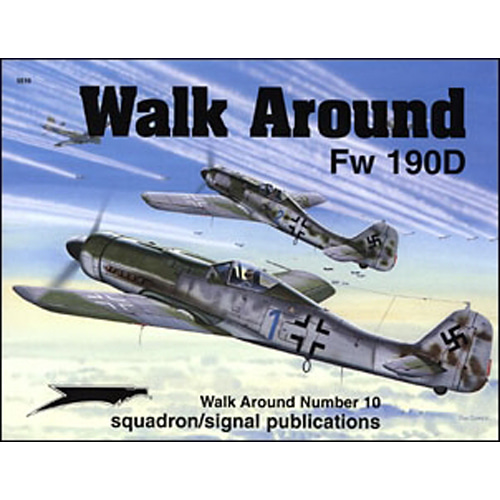 ES5510 Fw-190D Walk Around