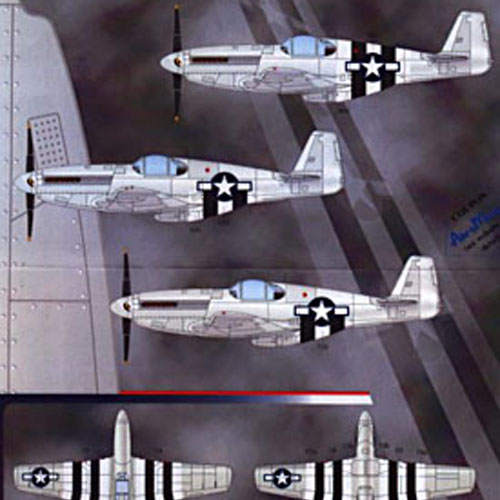 ESAN48646 1/48 P-51 Mustang P-51B C(June 6th 1944 D-Day Pt I )