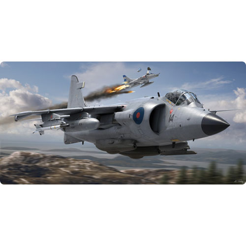 BB50010 1/24 Sea Harrier FRS1 Gift Set