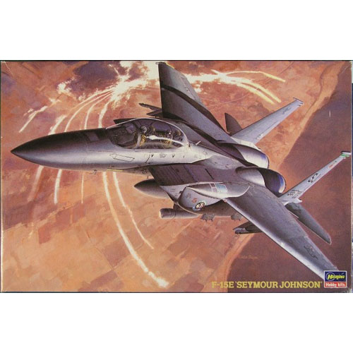 BH04201 1/72 F-15E Strike Eagle Seymour Johnson(데칼손상- 곰팡이/갈라짐 발생)