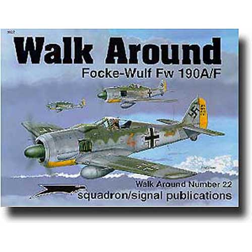 ES5522 Focke-Wolf FW190A/F WALK AROUND