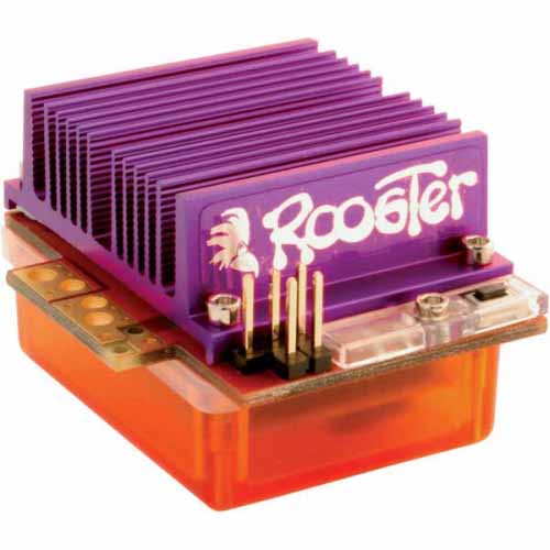 AN1840 **Rooster 12T Reversible ESC