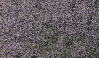 JWF177 Flowering Foliage™ - Purple (covers 100 sq. in.) 나무잎/꽃-자주색