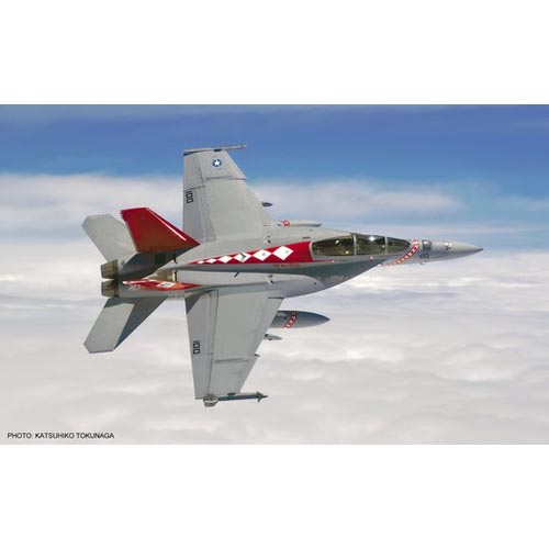 BH00960 1/72 F/A-18F Super Hornet &#039;VFA-102 History&#039; - 2 kits