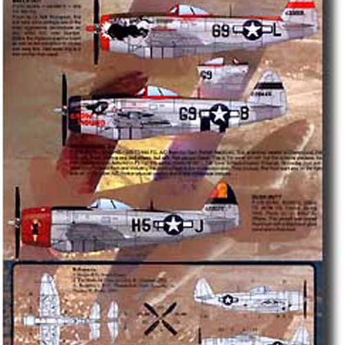 ESN48688 1/48 Thundebolts Best Seller Pt II (P-47 Thunderbolt P-47D-30RA -28-RA)