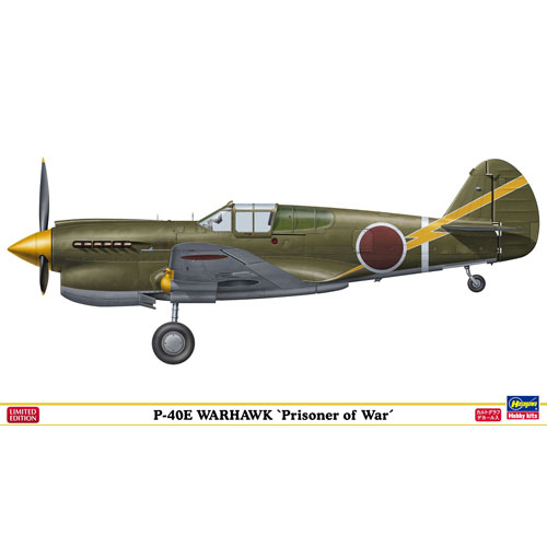 BH52104 1/48 P-40E Warhawk &quot;Prisoner of War&quot;